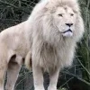 Zoo Dvorec
