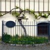 Dom starej révy v Maribore