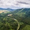 Rozhledna Dzikowiec