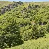 Velká kotlina
