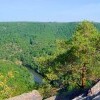 Thayatal Nemzeti Park