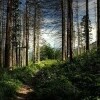 Krajinný park Przemkow
