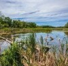 Národní Park Donau Auen