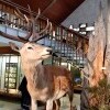 Tátrai Nemzeti Park Múzeum