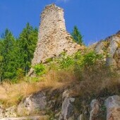Zrúcanina hradu Pořešín
