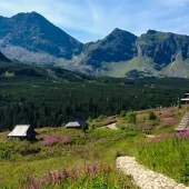 Tatry