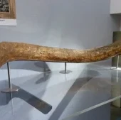 Múzeum Panónskeho mora v Miskolci