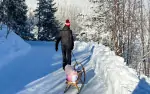 Aplend Lake Resort **** - František Jordán, Januári 2024