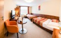 Pokoj, Hotel Artaban ****, Žirovnice, Vysočina