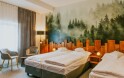 Trojlôžková izba 12, Hotel Liberecká Výšina ***