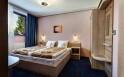 Dvoulůžkový pokoj bez přistýlky, Alexandra Wellness Hotel ***