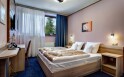 Dvoulůžkový pokoj bez přistýlky, Alexandra Wellness Hotel ***