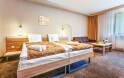  Dvoulůžkový pokoj s 1 přistýlkou, Alexandra Wellness Hotel ***