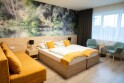 Dvojlôžková izba, Gyirmót Sport & Wellness Hotel ****, Győr