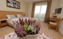 Pokoj Premium 2+0, Hotel Alpejski ***, Polanica-Zdrój