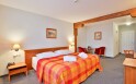 Dvojlôžková izba Superior, LH Hotel Dvořák Tábor Congress & Wellness ****