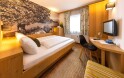 Pokoj Economy Double, Hotel Grüner Baum ****
