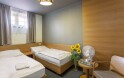 Čtyřlůžkový pokoj, Hotel Lidový dům ***, Bzenec, Slovácko