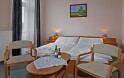 Štandardná izba s výhľadom do dvora (2+1), Hotel Paris ***, Mariánske Lázně