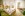 Izba Grande, Lotus Therme Hotel & Spa *****