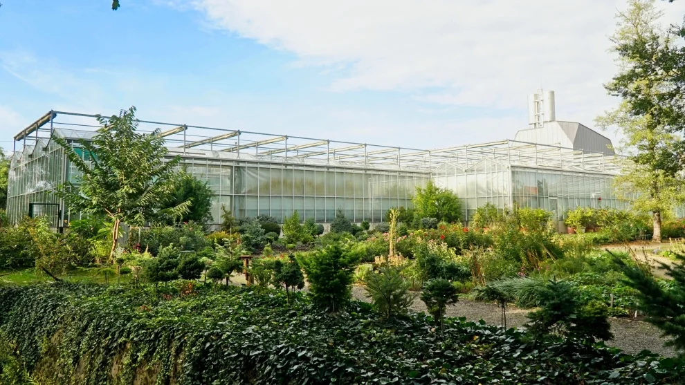 Vácrátóti arborétum