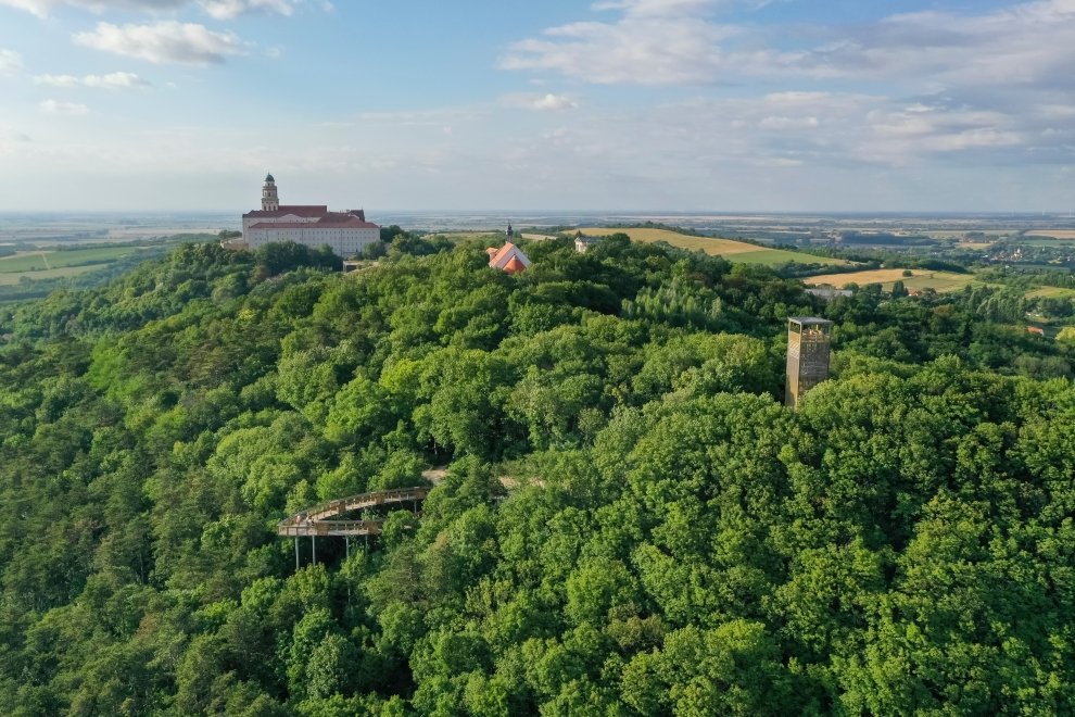 TOP Lombkorona sétányok Magyarországon és a környéken