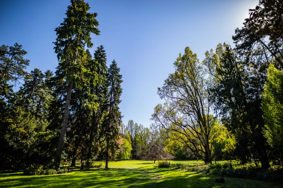 Szarvasi Arborétum