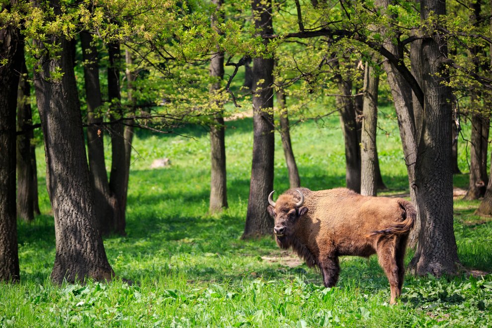 Prešovský kraj