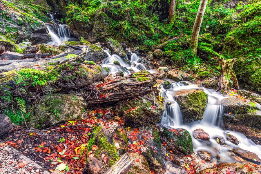 Objavte to NAJ zo Slovenska: 10 NAJkrajších vodopádov, ktoré musíte vidieť