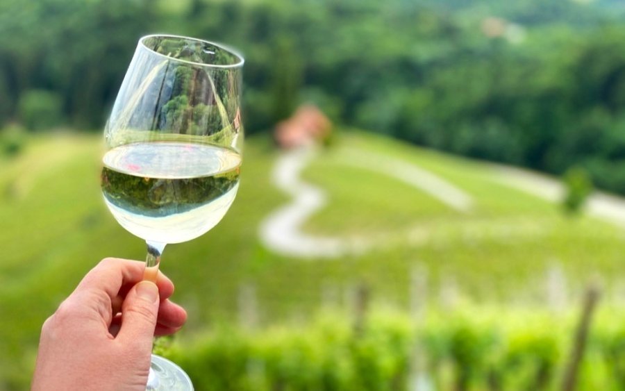 To NAJlepšie zo slovinského vinárstva: TOP 10 zážitkov pre milovníkov vína