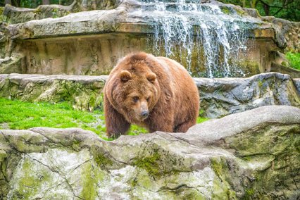 Objavte to NAJ zo Slovenska: 9 NAJkrajších zoologických a botanických záhrad