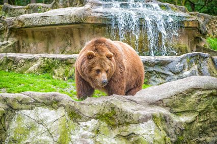 Objevte to NEJ ze Slovenska: 9 nejkrásnějších zoologických a botanických zahrad