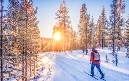 Zima v Česku aneb Nejlepší běžkařské trasy v Jeseníkách a na Šumavě