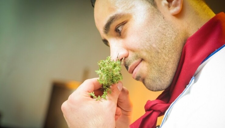 Taliani sa vedia baviť, kričať a jesť. Objavte ich gastronómiu.