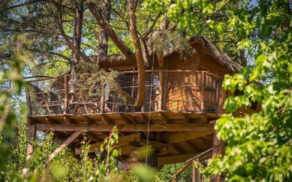 Treehouse Stvořidla