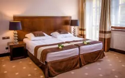 Priestranné izby Standard, Hotel Spa Medical Dwór Elizy