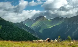 Gitschberg Jochtal, Taliansko