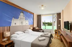 Hotelová izba, Aranyhomok Hotel Business & Relax ****, Kecskemét, Maďarsko