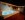 Wellness, Hotel Strachan Family Jasná, Liptovský Mikuláš