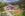 Alexandra Wellness Hotel ***, Nízke Tatry
