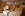 Wellness, Forest Hotel ***, Krakov