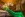 Wellness, Allure Healthy Hotel & Spa ****, Eger, Maďarsko