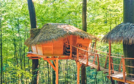 Treehouse 1, Trenčianske Teplice, Slovensko