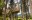 My Arbor - Dolomity *****, Brixen, Taliansko