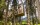 My Arbor - Dolomity *****, Brixen, Taliansko
