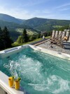 Wellness, Horská chata a hotel Bílá Labuť ***