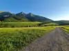 Okolie, Belianske Tatry, Slovensko