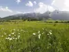 Okolie, Belianske Tatry, Slovensko