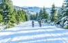 Lyžovanie, Krkonoše
