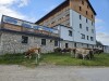 Hotel s kravami, Hotel Tauplitzalm  ***, Tauplitzalm, Alpy, Rakúsko